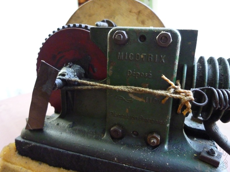 P1000555-29237.jpg