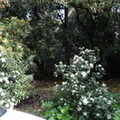 DSC01042-821