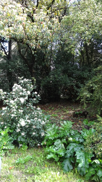 DSC01043-22370.jpg