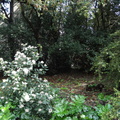 DSC01043-22370