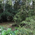 DSC01044-24655