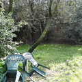 DSC01045-30894