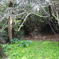 DSC01047-16046