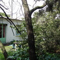 DSC01052-22872