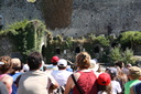 IMG 3565-31252