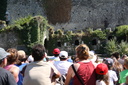 IMG 3566-24643