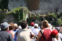 IMG 3567-13092