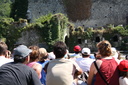 IMG 3568-11121