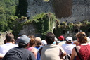 IMG 3570-20444