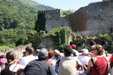 IMG 3573-17518