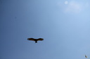 IMG 3577-27137