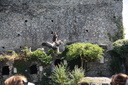 IMG 3580-3519