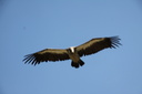 IMG 3581-25959