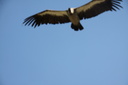 IMG 3582-24855