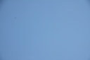 IMG 3583-7917