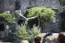 IMG 3584-28373