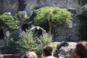 IMG 3585-8177