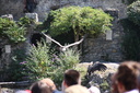 IMG 3586-23332