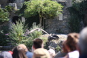 IMG 3587-26890