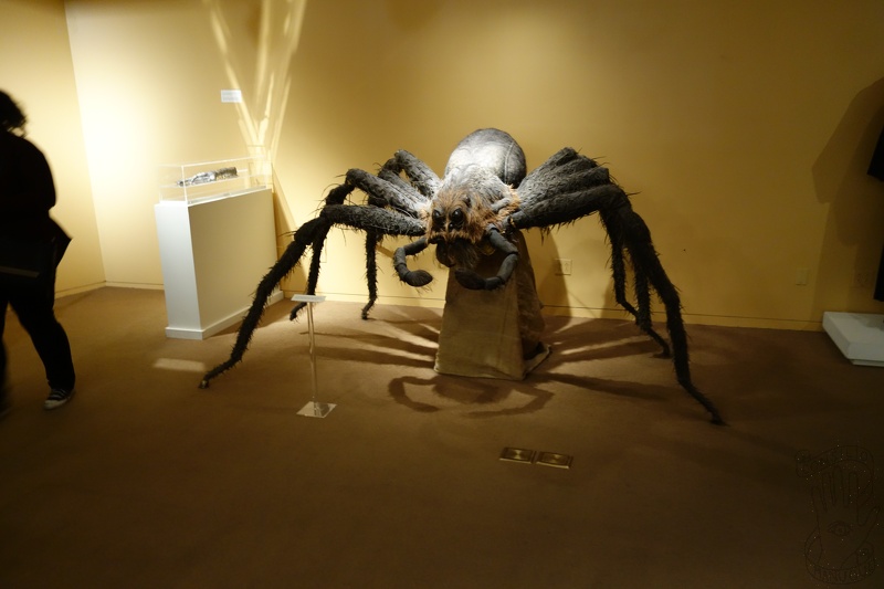 DSC04005-28285.jpg