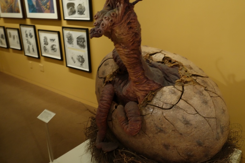 DSC04011-21920.jpg