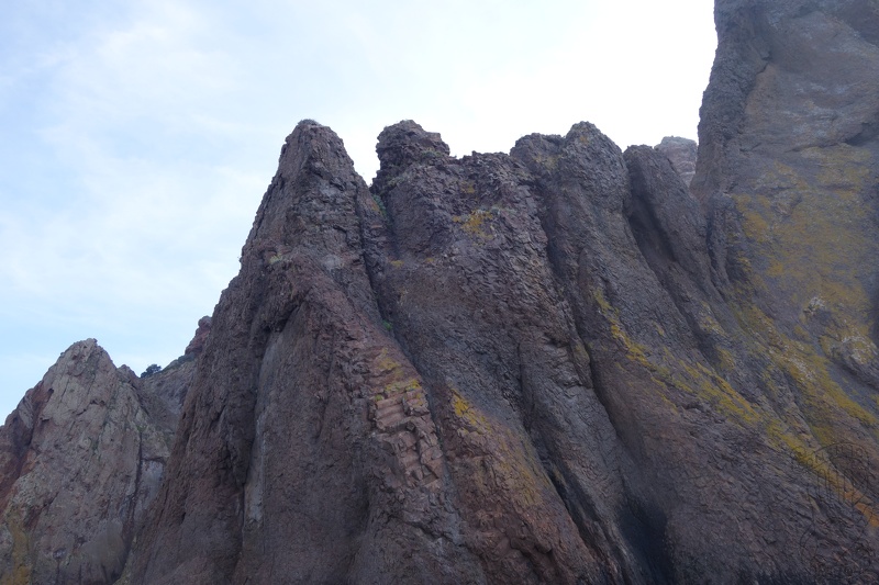 DSC07007-6981.jpg
