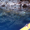 DSC07014-9141