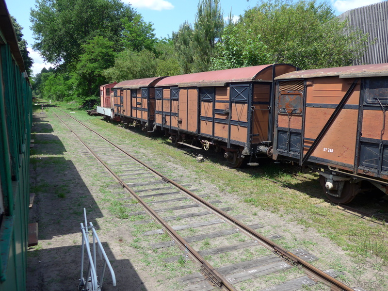 P1020115.JPG